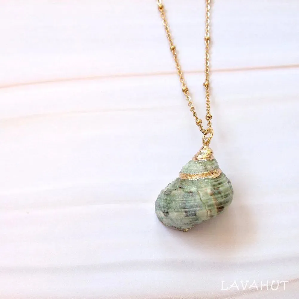 Green Turbo Seashell Pendant w/ Gold Necklace