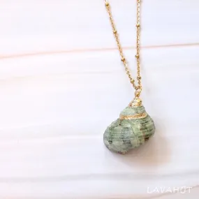Green Turbo Seashell Pendant w/ Gold Necklace
