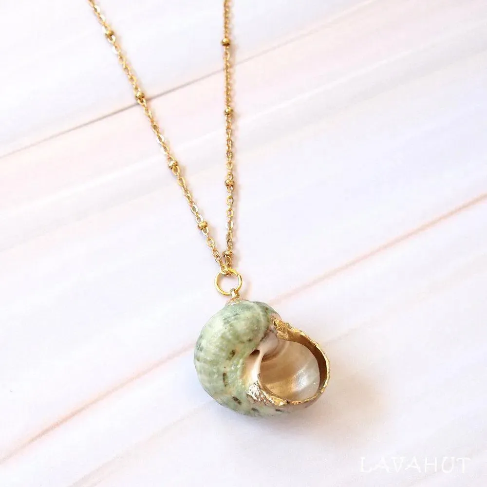 Green Turbo Seashell Pendant w/ Gold Necklace