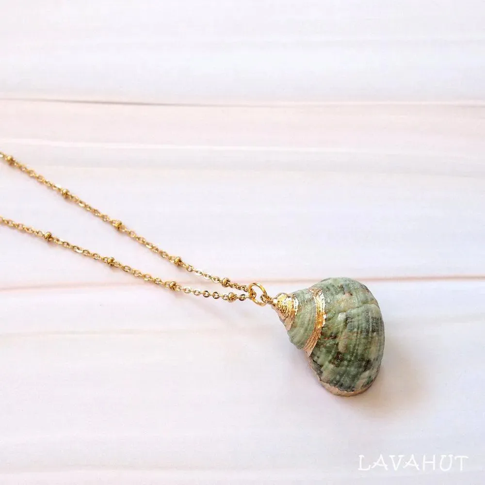 Green Turbo Seashell Pendant w/ Gold Necklace