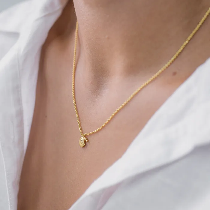 Jolie & Deen Womens SEASHELL NECKLACE GOLD