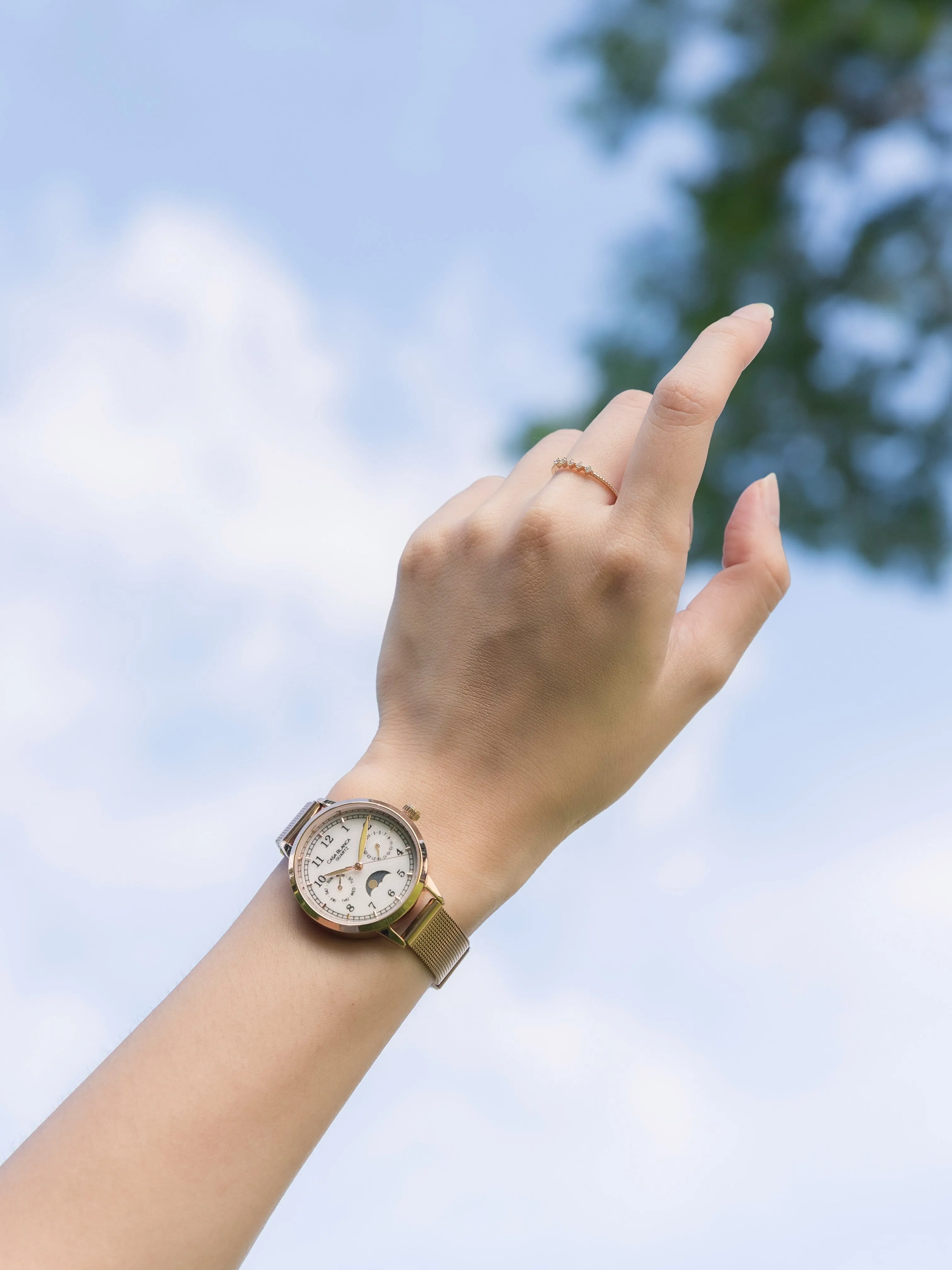 Luna Moonphase | Rose Gold Mesh Strap