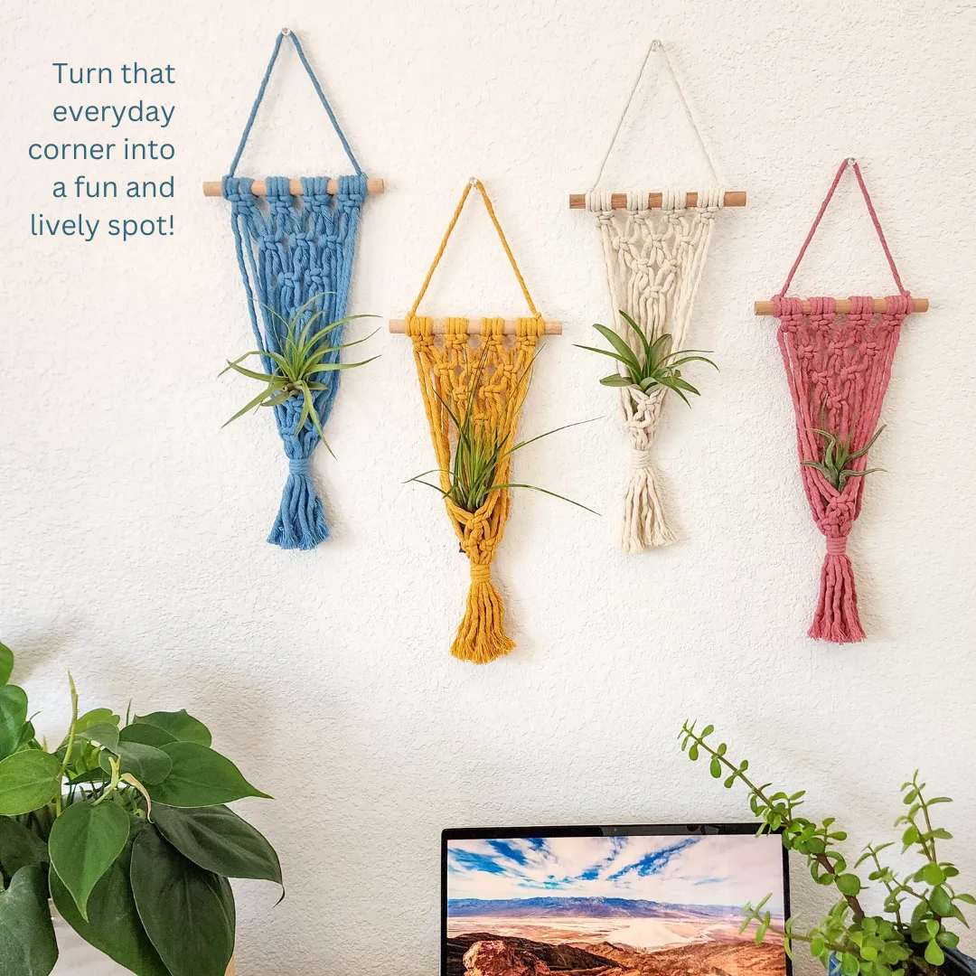 Macrame Air Plant hangers, Handmade Air Plant holders WHOLESALE