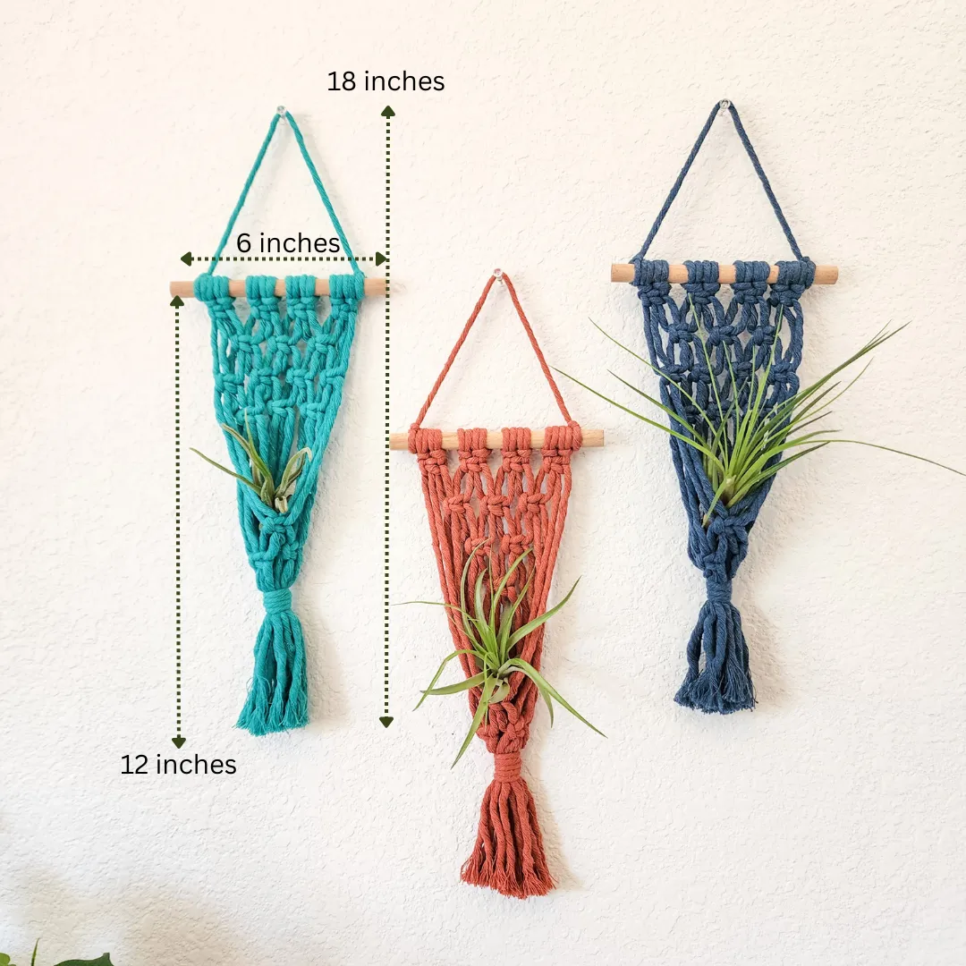 Macrame Air Plant hangers, Handmade Air Plant holders WHOLESALE