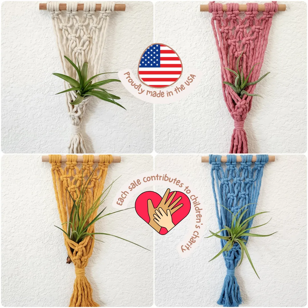 Macrame Air Plant hangers, Handmade Air Plant holders WHOLESALE