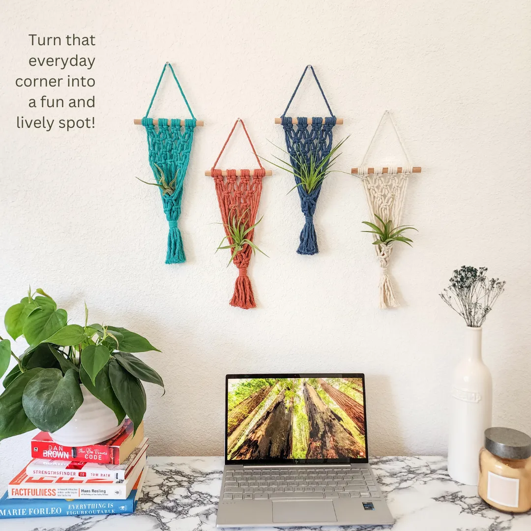 Macrame Air Plant hangers