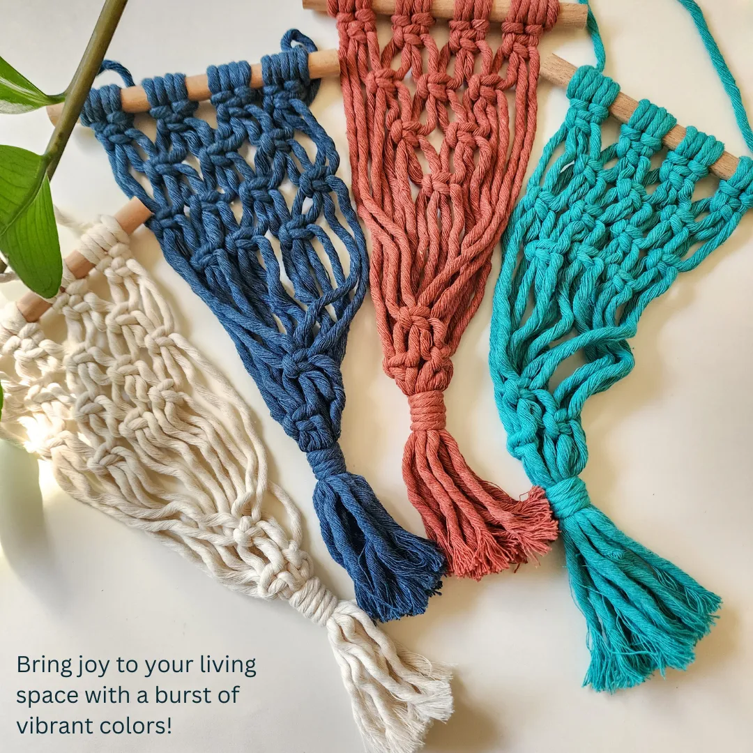 Macrame Air Plant hangers