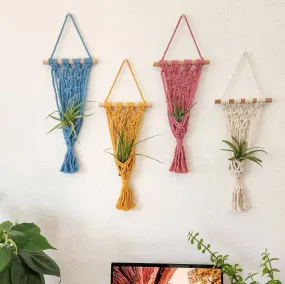 Macrame Air Plant hangers