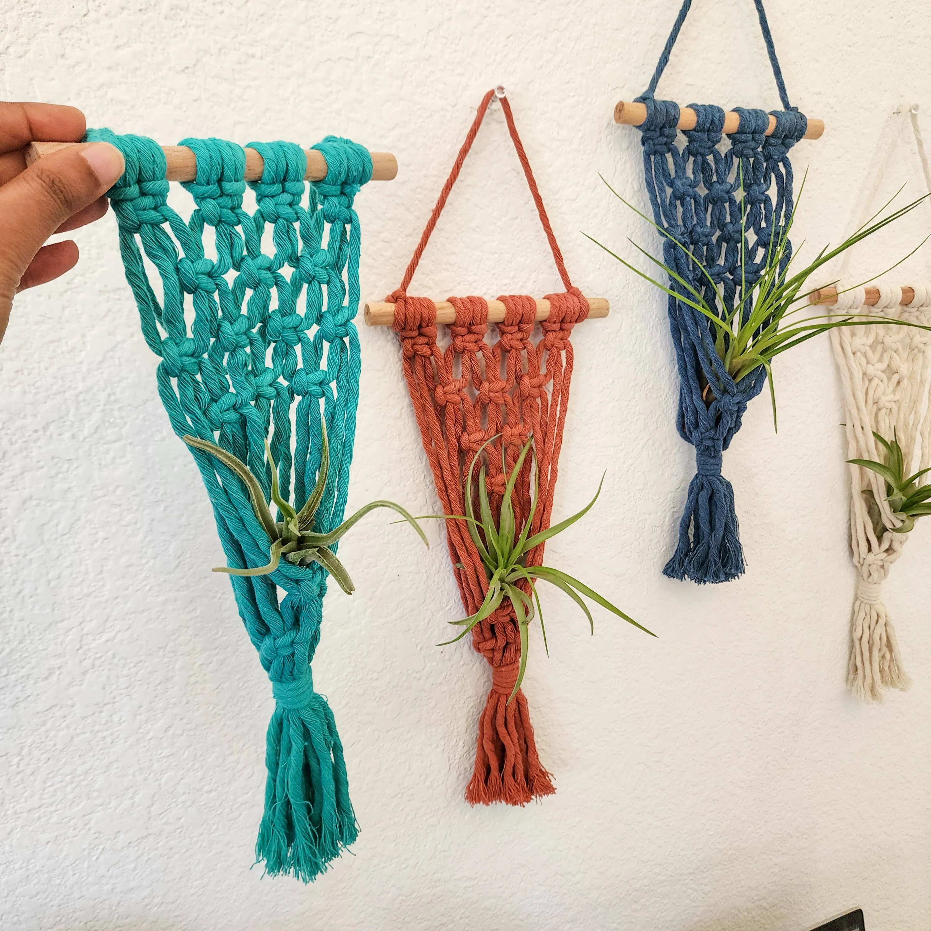 Macrame Air Plant hangers