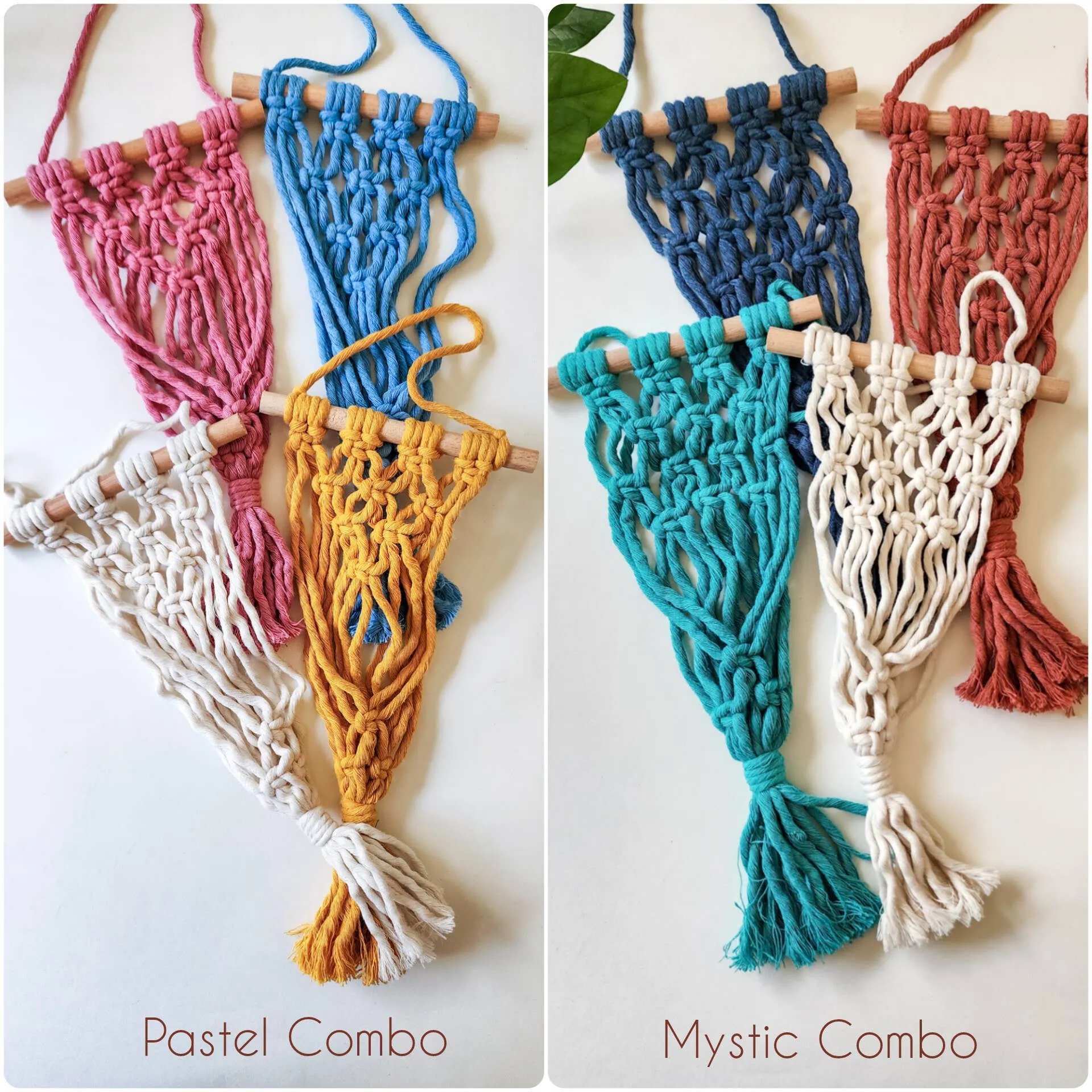 Macrame Air Plant hangers