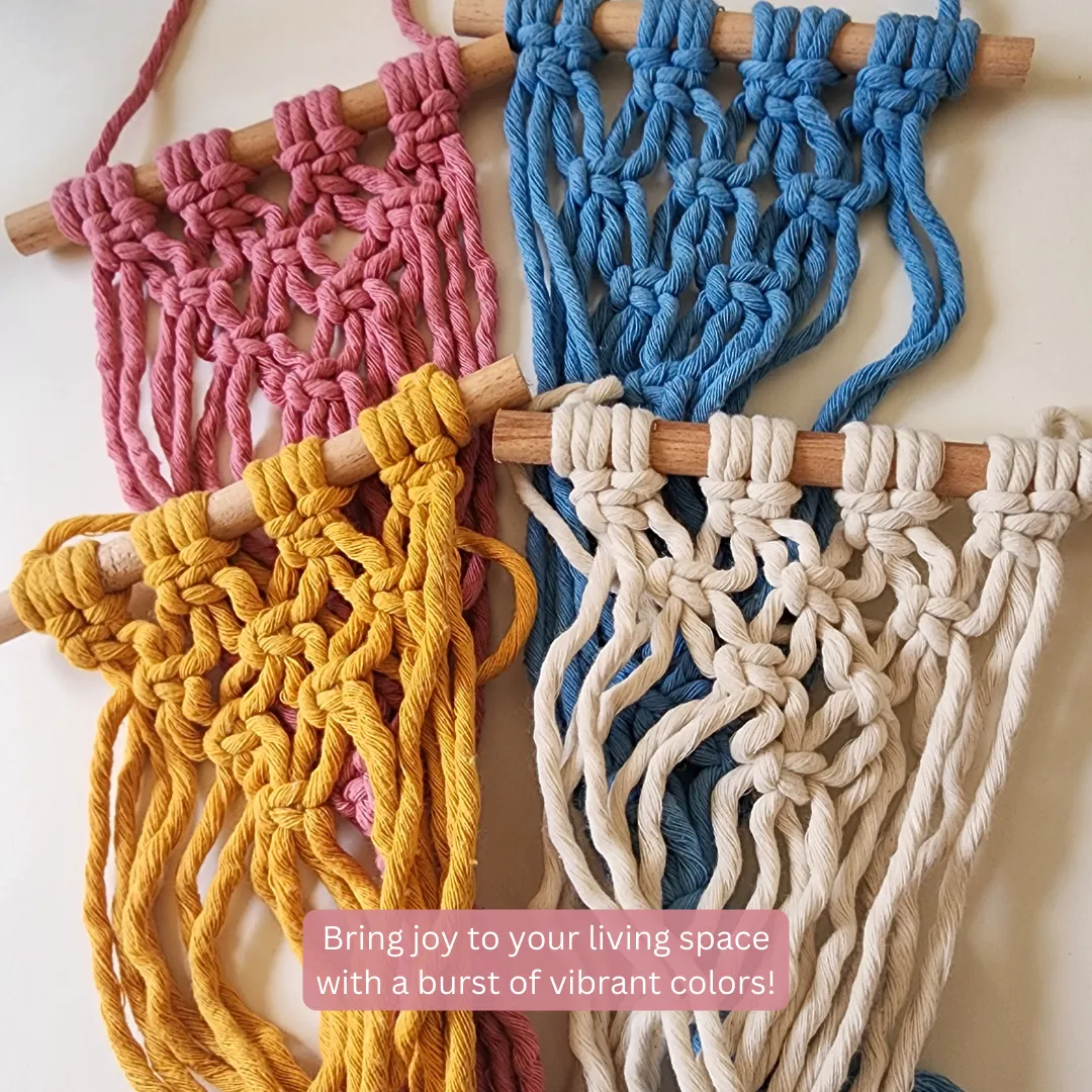 Macrame Air Plant hangers