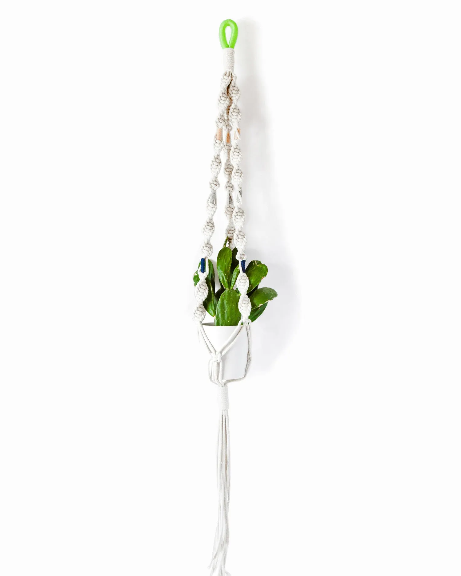 Macrame Plant Hangers in Colorblock Hawai